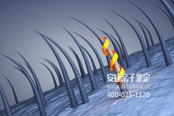 枣庄亲子鉴定